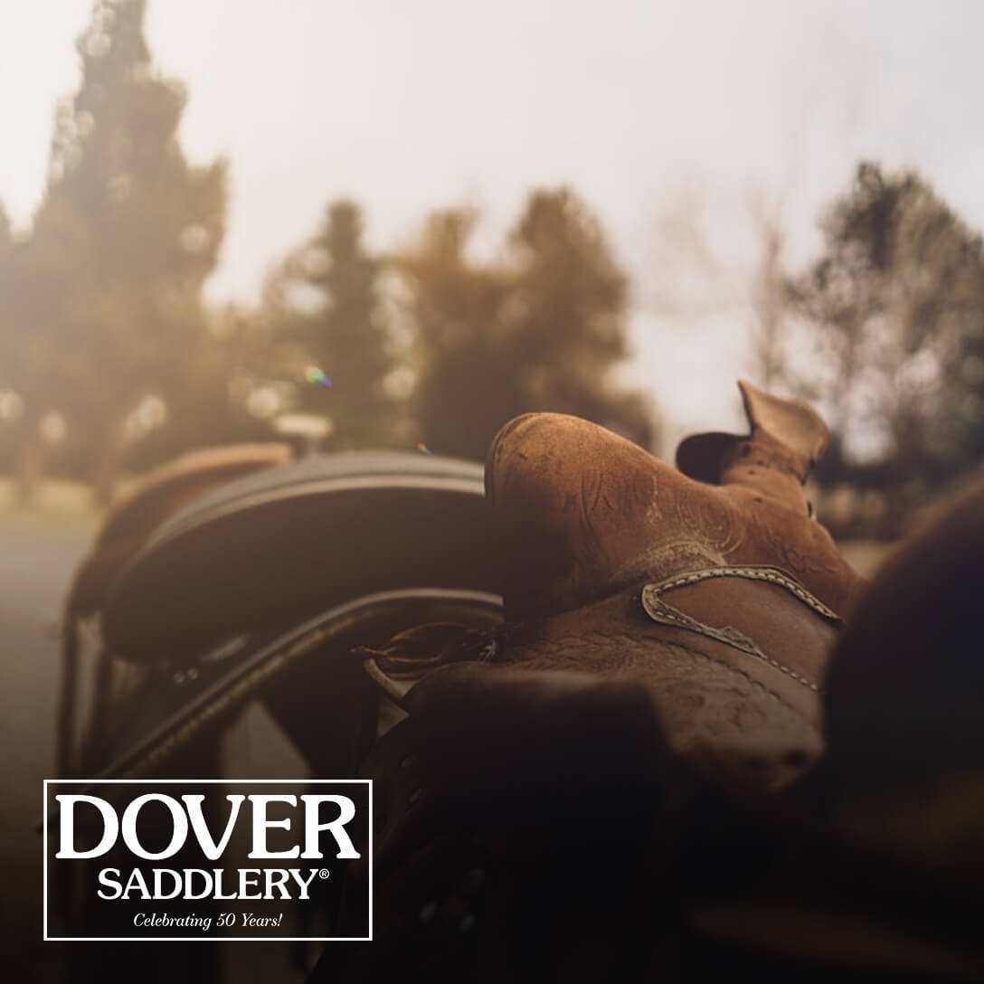 Dover Saddlery-Case-Study